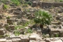 P1100872-1024