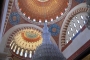 P1100885-1024