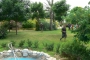 garden1-1024