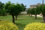 garden2